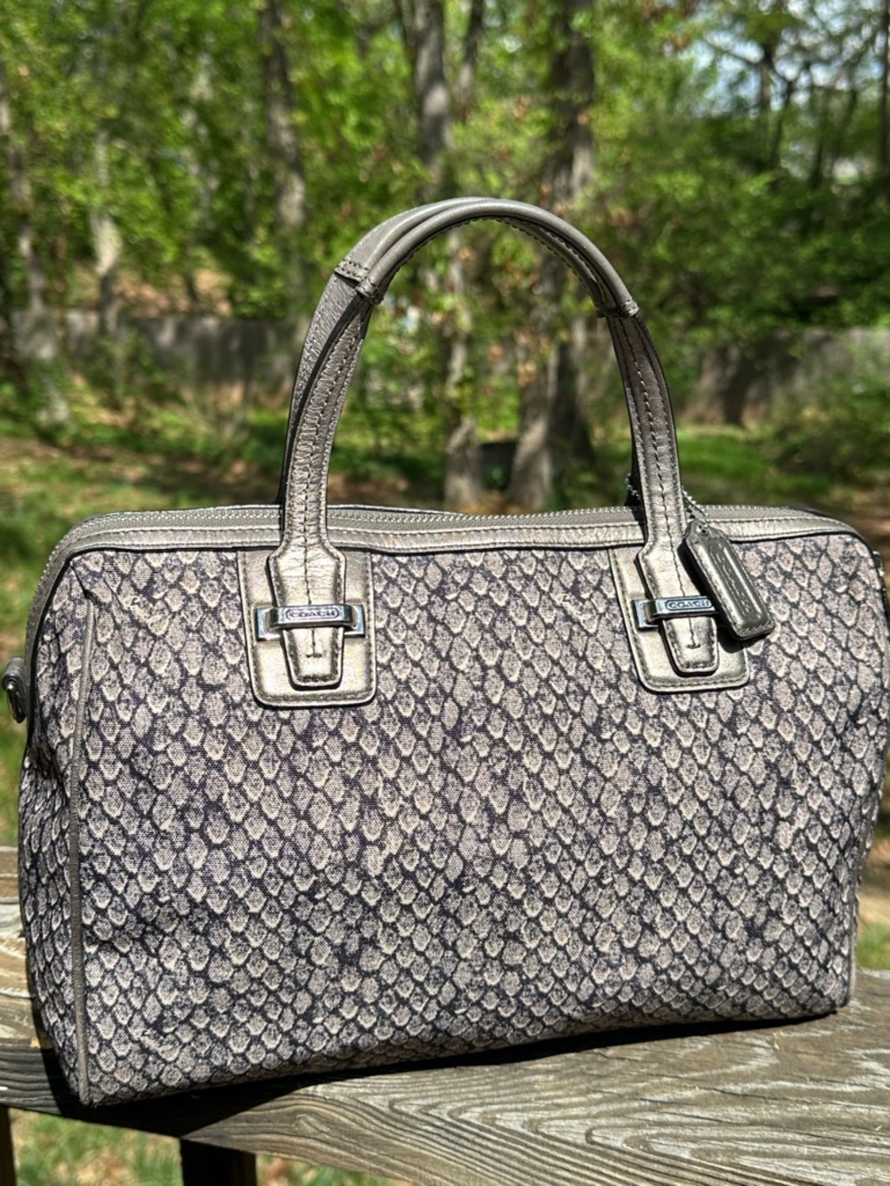 !!SOLD!!Coach Taylor Print Alexis Carryall Satchel